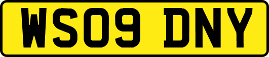 WS09DNY