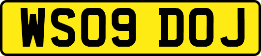 WS09DOJ