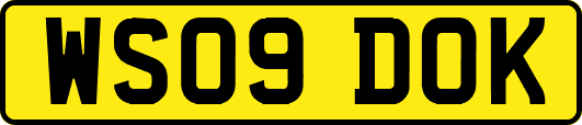 WS09DOK