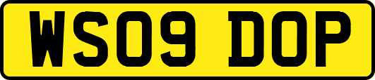 WS09DOP