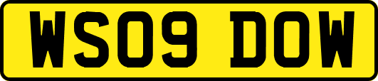 WS09DOW