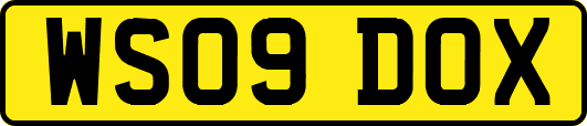 WS09DOX