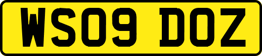 WS09DOZ