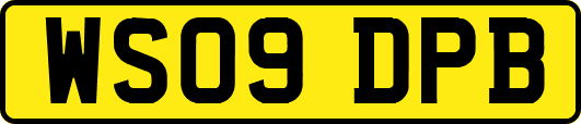 WS09DPB
