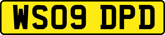 WS09DPD