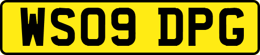 WS09DPG