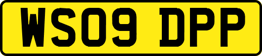 WS09DPP