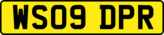 WS09DPR
