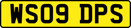 WS09DPS