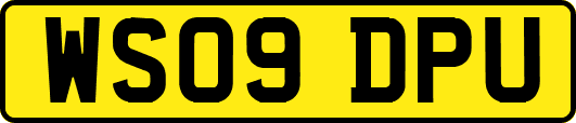 WS09DPU