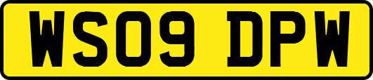 WS09DPW