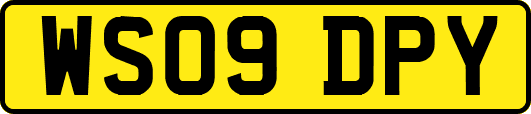 WS09DPY