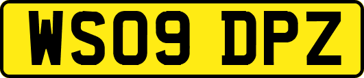 WS09DPZ
