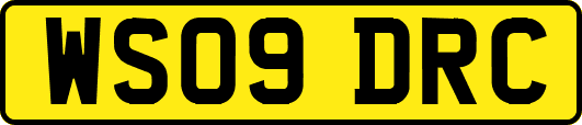 WS09DRC