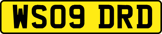 WS09DRD