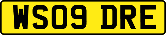 WS09DRE
