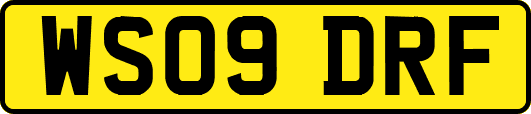 WS09DRF