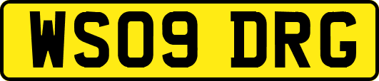 WS09DRG
