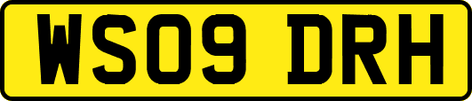 WS09DRH