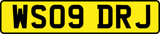 WS09DRJ