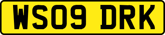 WS09DRK