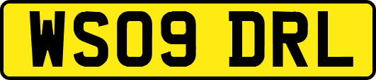 WS09DRL