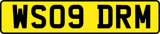 WS09DRM