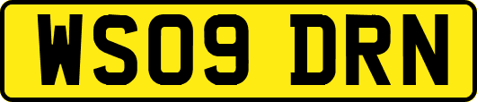 WS09DRN