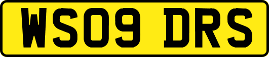 WS09DRS