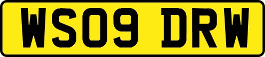 WS09DRW