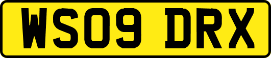 WS09DRX