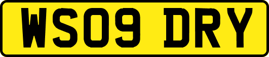 WS09DRY