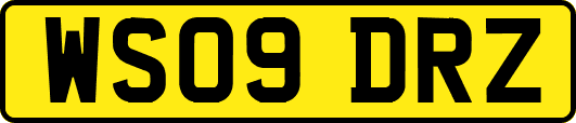 WS09DRZ