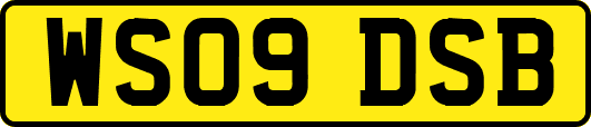 WS09DSB