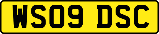 WS09DSC