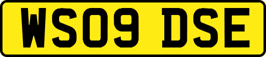 WS09DSE