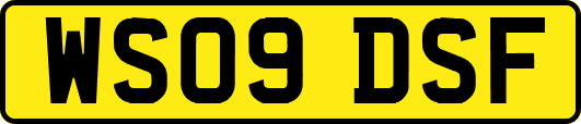 WS09DSF