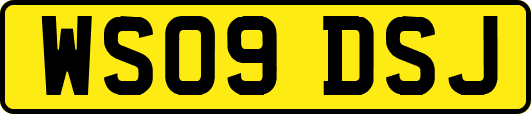 WS09DSJ