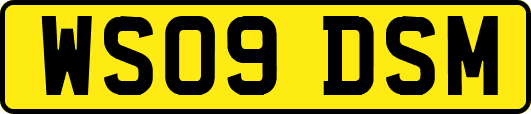 WS09DSM