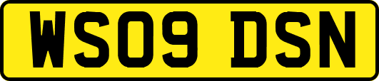 WS09DSN
