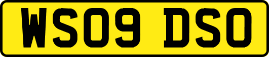 WS09DSO