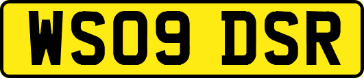 WS09DSR