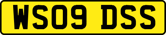 WS09DSS