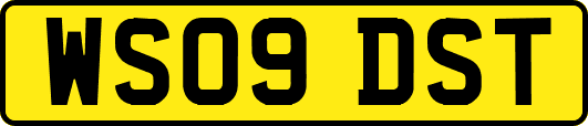 WS09DST