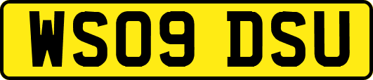 WS09DSU