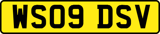 WS09DSV