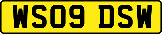 WS09DSW