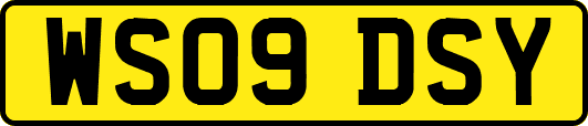 WS09DSY