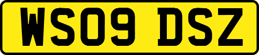 WS09DSZ