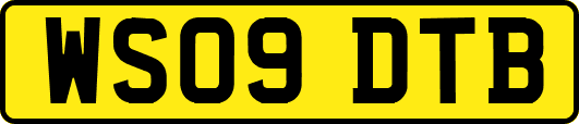 WS09DTB